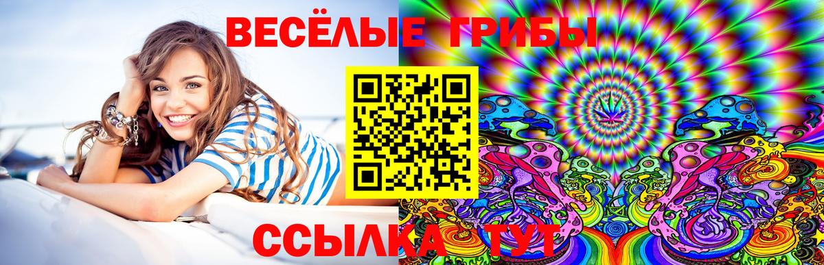 Псилоцибиновые грибы GOLDEN TEACHER Гай