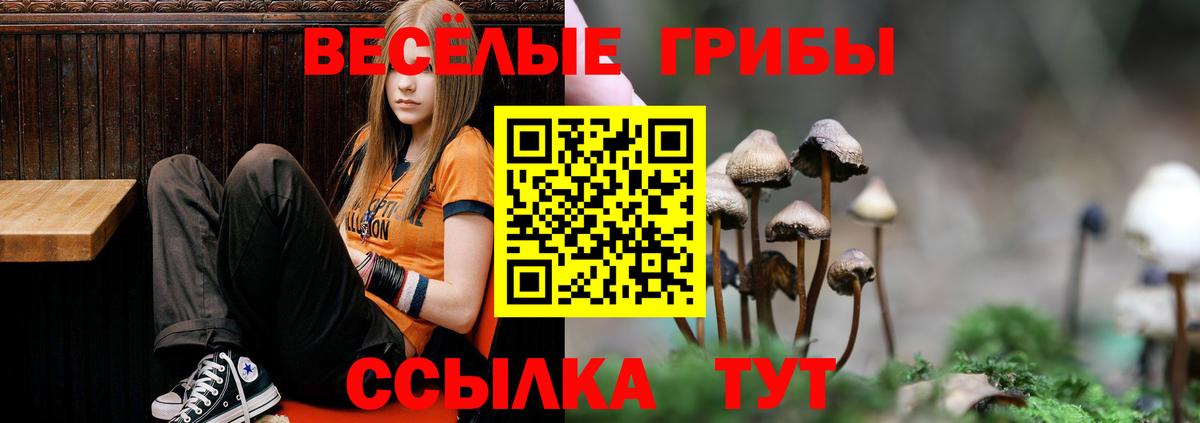 Гай  Галлюциногенные грибы Psilocybine cubensis  как найти   Вход с VPN 