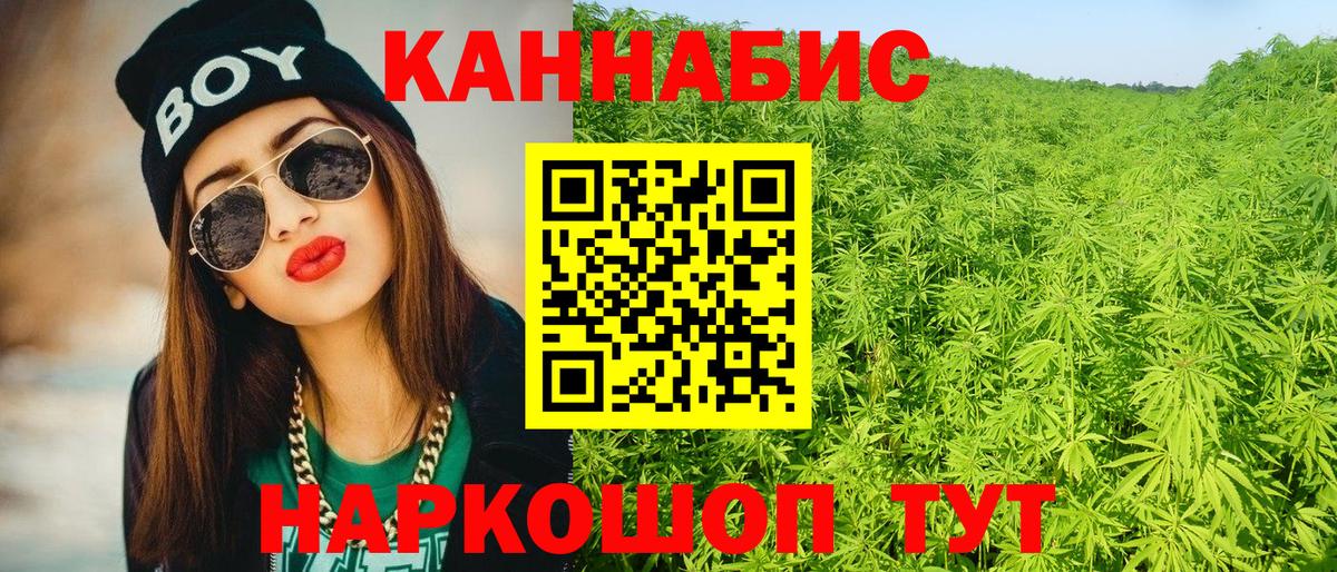 Бошки марихуана тримм  Вход с VPN  Гай  МАРИХУАНА тримм  Каннабис White Widow 